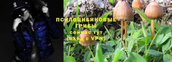 mix Абинск