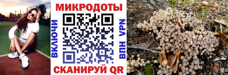 Псилоцибиновые грибы MAGIC MUSHROOMS  купить наркотики цена  Бежецк 